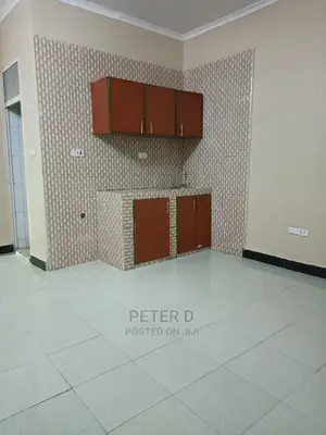 1bdrm Apartment in Kinondoni for Rent