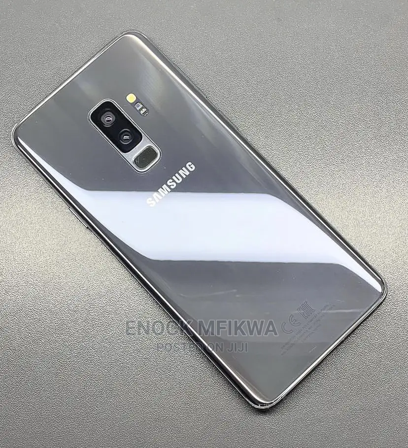 Samsung Galaxy S9 Plus 64 GB Silver