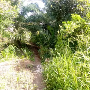 Shamba Bora Acre 2000 Mkata Tanga Linauzwa Milion 350