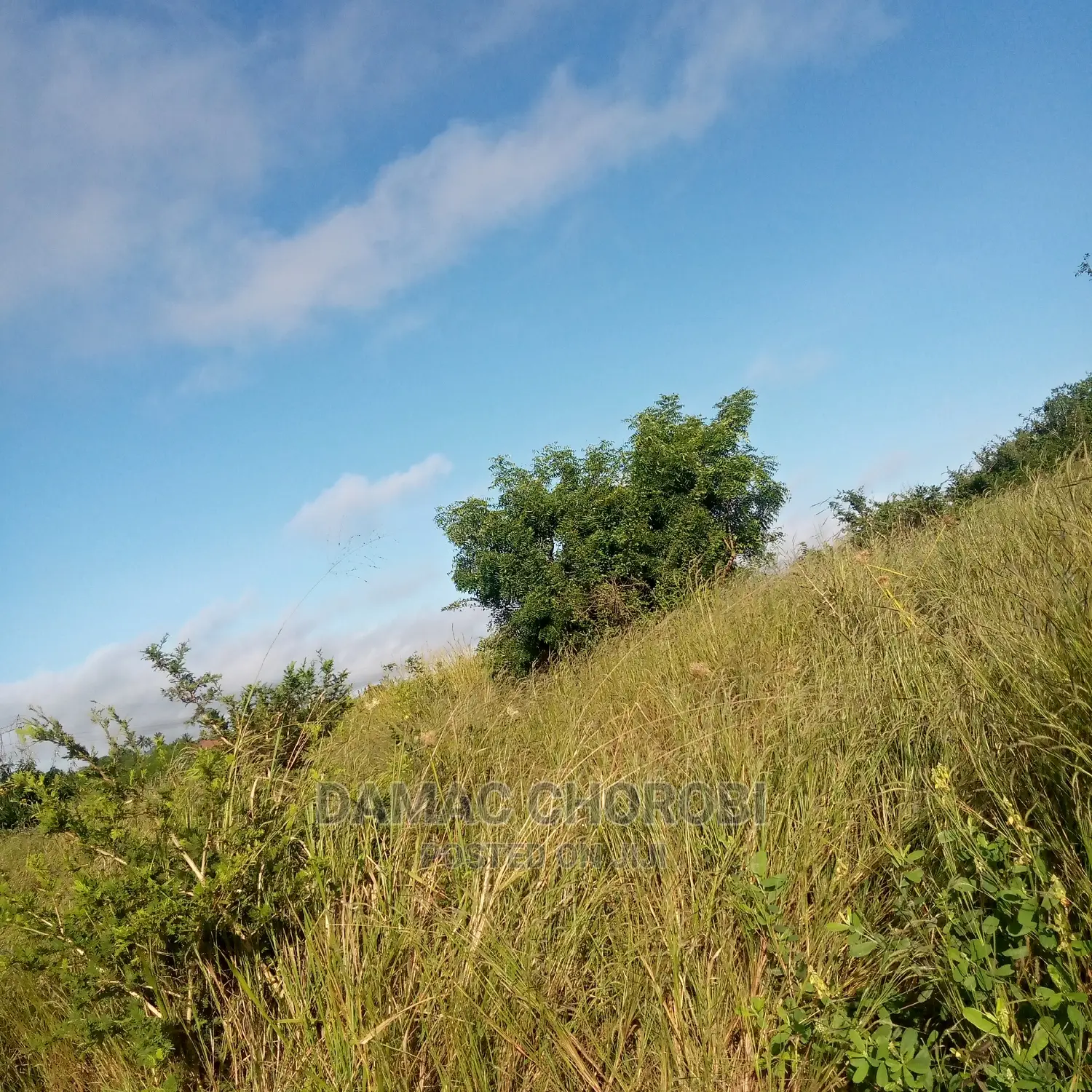 Acre 2500 Zinauzwa Mkata Tanga Milion 380 Kilomita 11 in Mkata Land