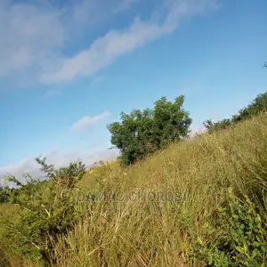 Acre 2500 Zinauzwa Mkata Tanga Milion 380 Kilomita 11