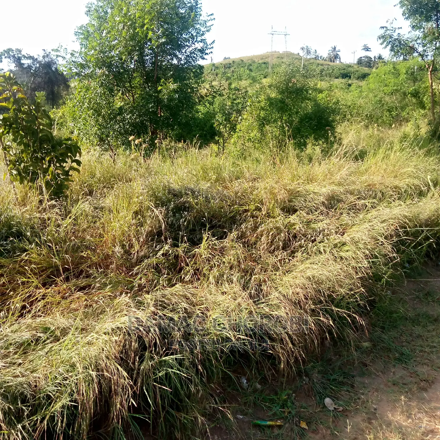 Acre 2500 Zinauzwa Mkata Tanga Milion 380 Kilomita 11