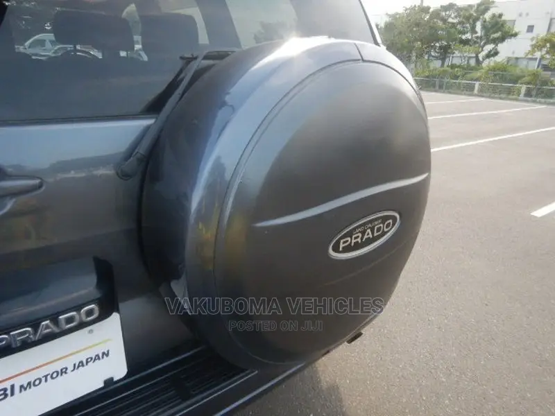 Toyota Land Cruiser Prado 2008 Gray