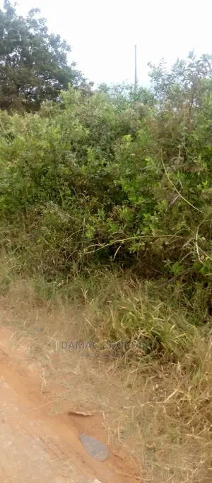 Acre 300 for Sale Kiwangwa-Bago