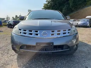 Nissan Murano 2005 Gray