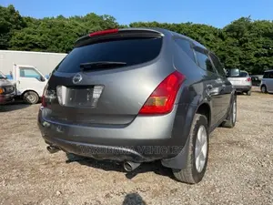 Nissan Murano 2005 Gray