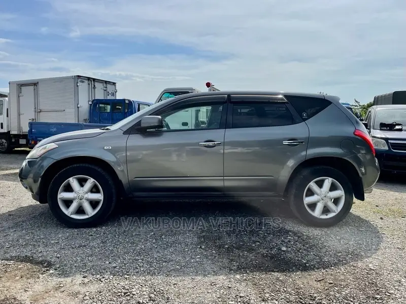 Nissan Murano 2005 Gray
