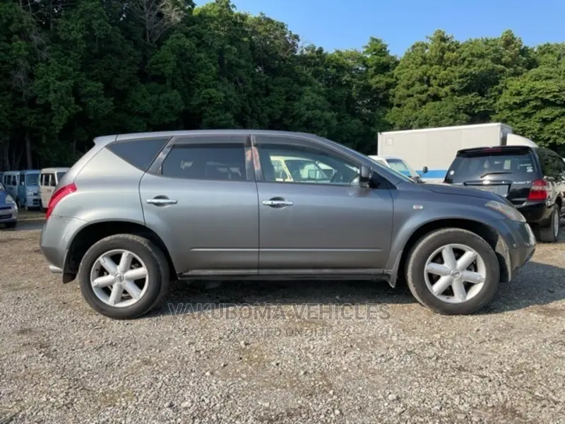Nissan Murano 2005 Gray