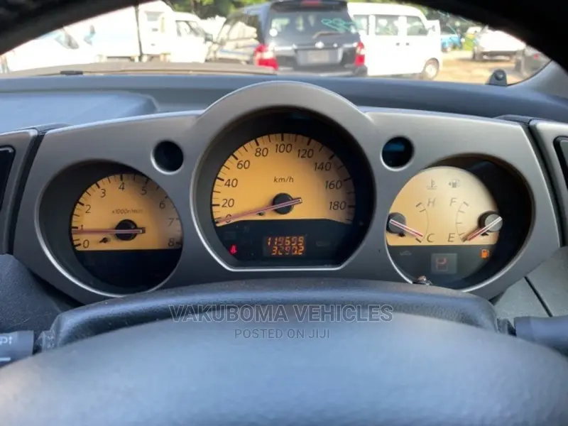 Nissan Murano 2005 Gray