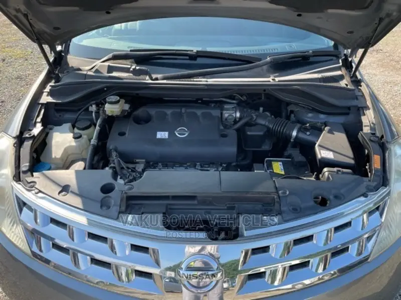 Nissan Murano 2005 Gray