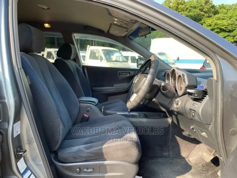 Nissan Murano 2005 Gray