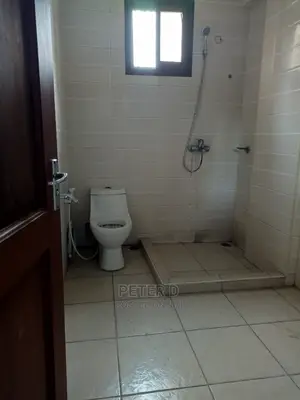 2bdrm Apartment in Kariakoo for rent