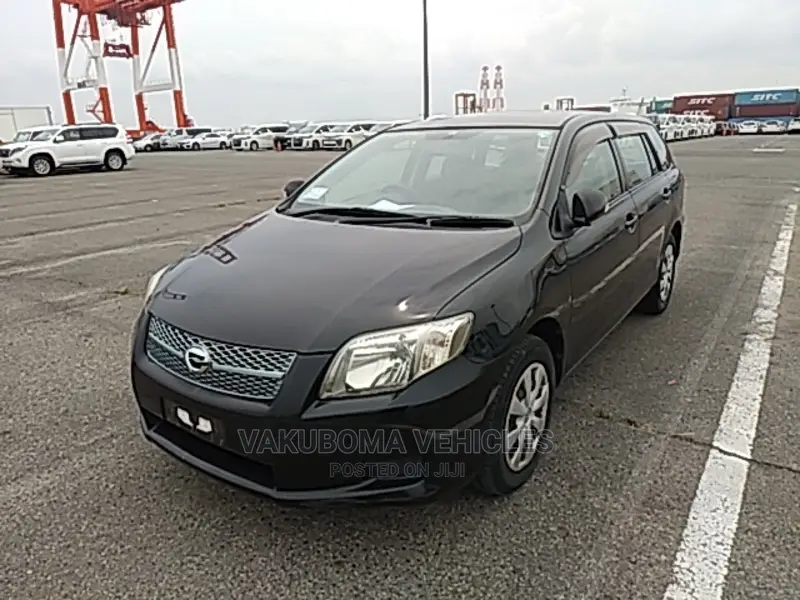 Toyota Corolla Fielder 2007 Black