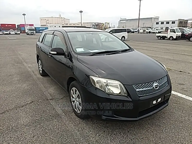 Toyota Corolla Fielder 2007 Black