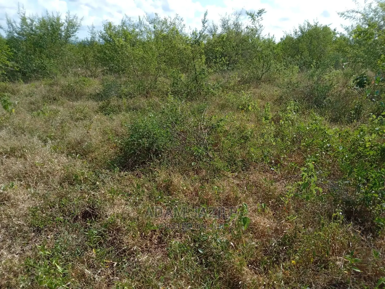 Shamba Linauzwa Kiwangwa