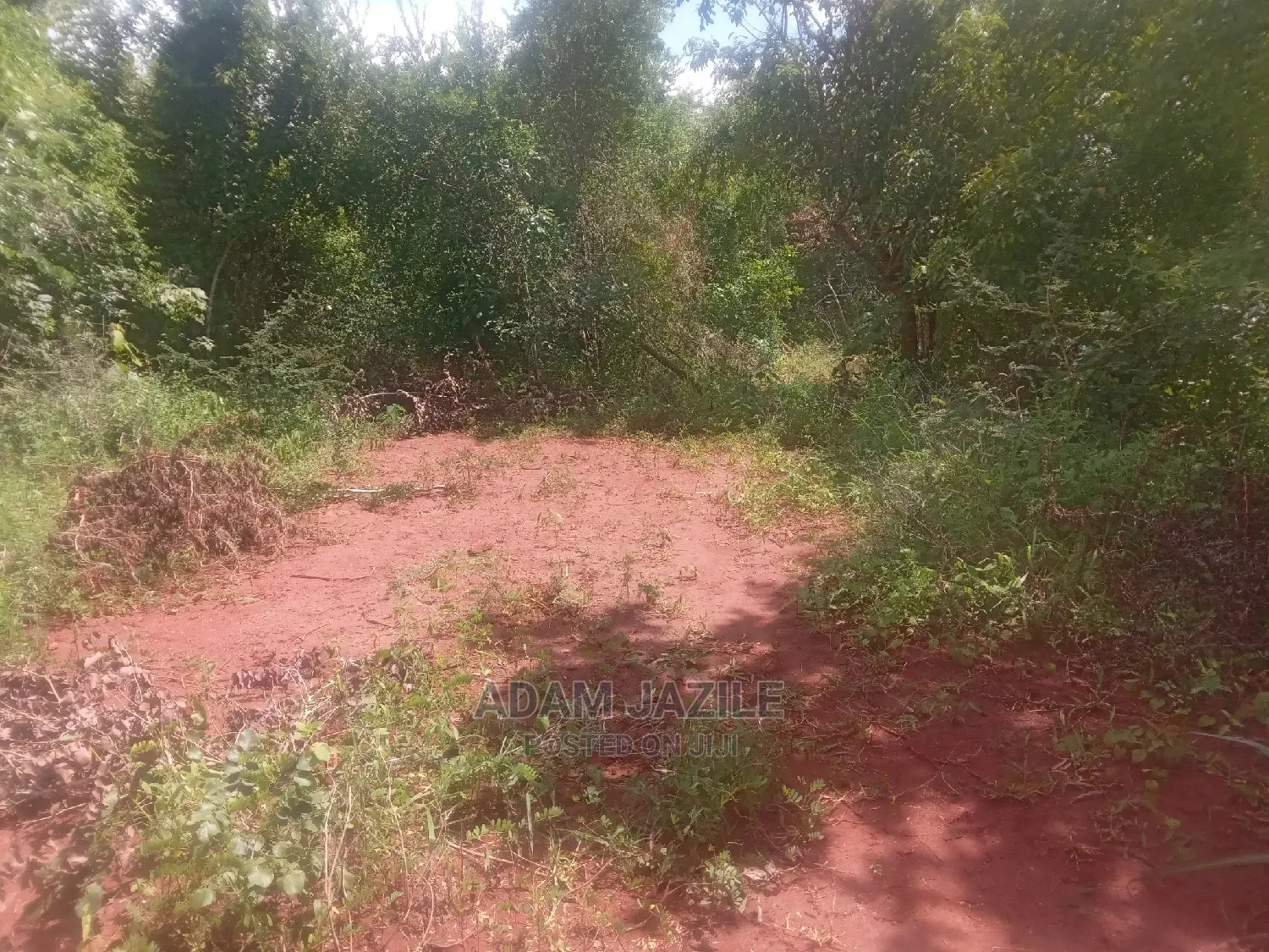 Shamba Linauzwa Mbwewe Chalinze
