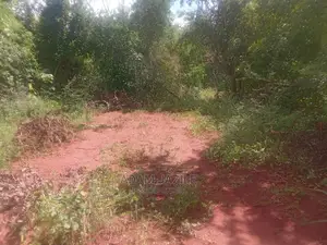 Shamba Linauzwa Mbwewe Chalinze