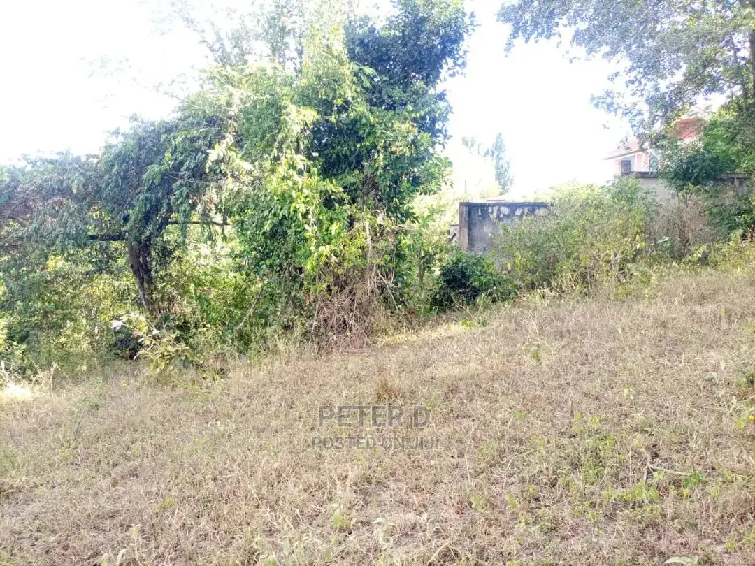 Kiwanja Kwa Bei Mseleleko
