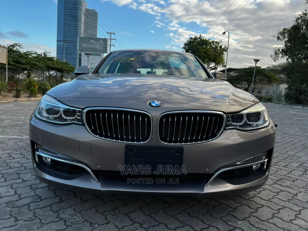 BMW 3 Series 2015 Brown