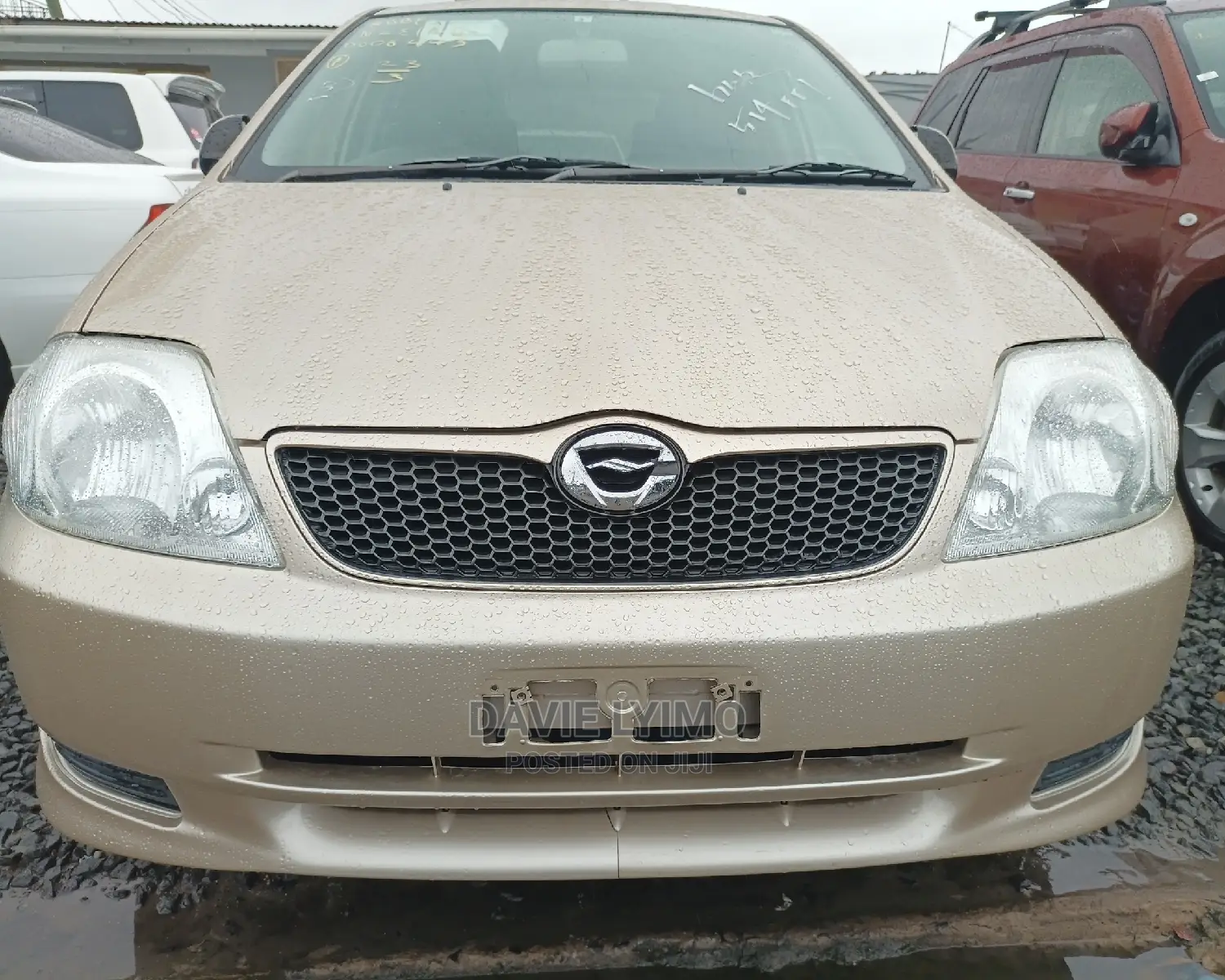 Toyota Allex 2001 Gold