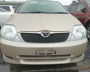 Toyota Allex 2001 Gold