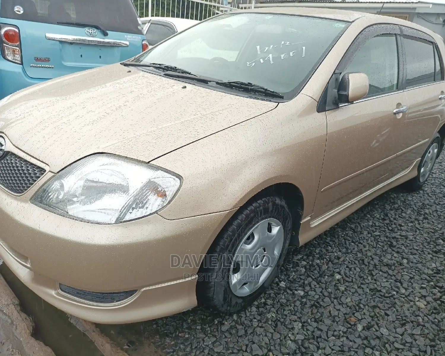 Toyota Allex 2001 Gold