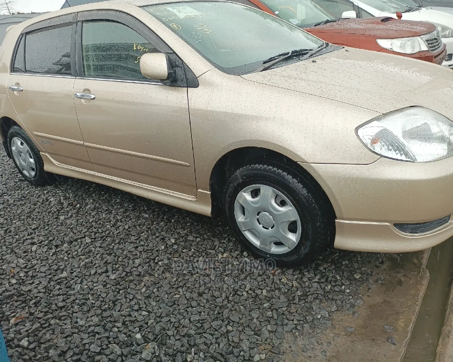 Toyota Allex 2001 Gold