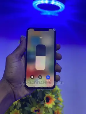 Apple iPhone X 64 GB Silver