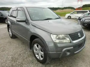 Suzuki Escudo 2009 Gray