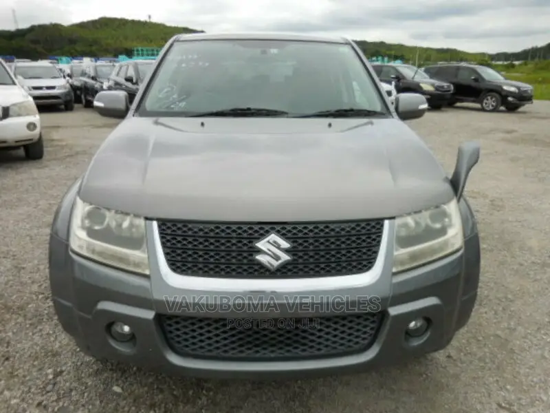 Suzuki Escudo 2009 Gray