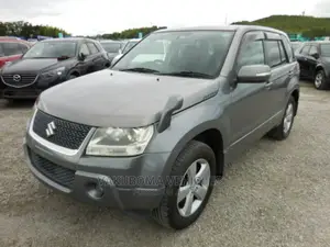 Suzuki Escudo 2009 Gray