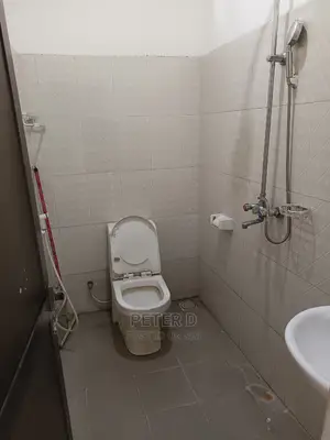 1bdrm Apartment in Mwananyamala for rent