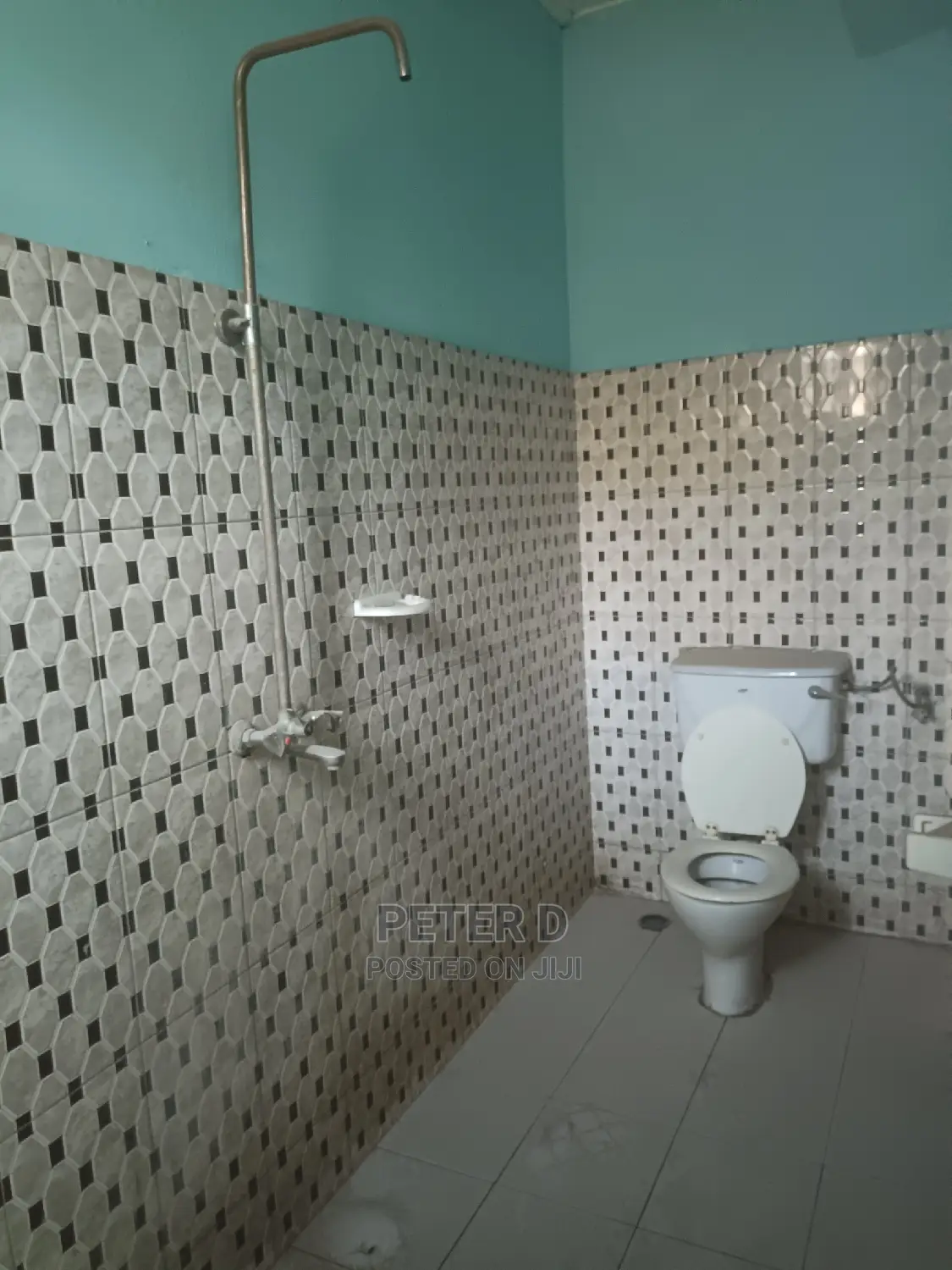 1bdrm Apartment in Mikocheni for rent