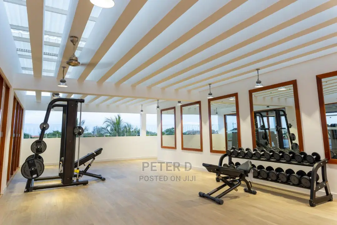 Furnished Mini Flat in Mikocheni for Rent