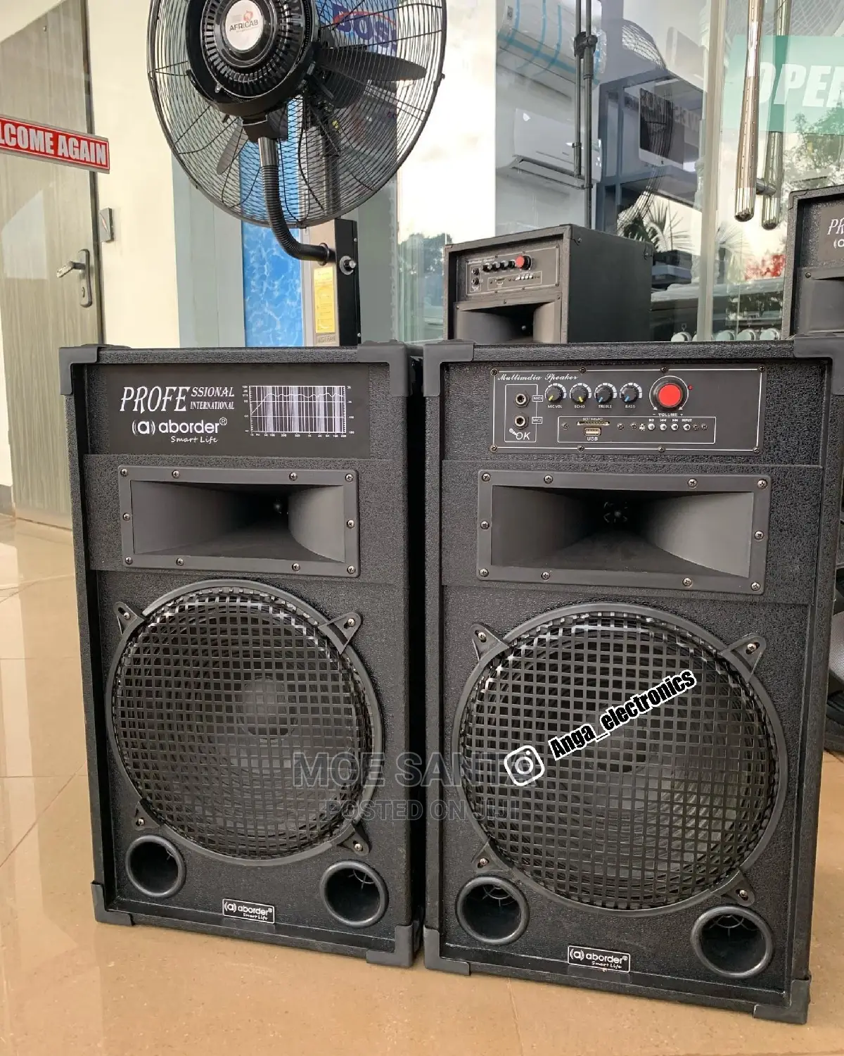 Aborder Subwoofer Ina Mic