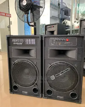 Aborder Subwoofer Ina Mic