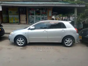 Toyota Corolla RunX 2004 Silver