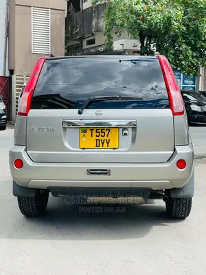 Nissan X-Trail 2.0 2005 Gray