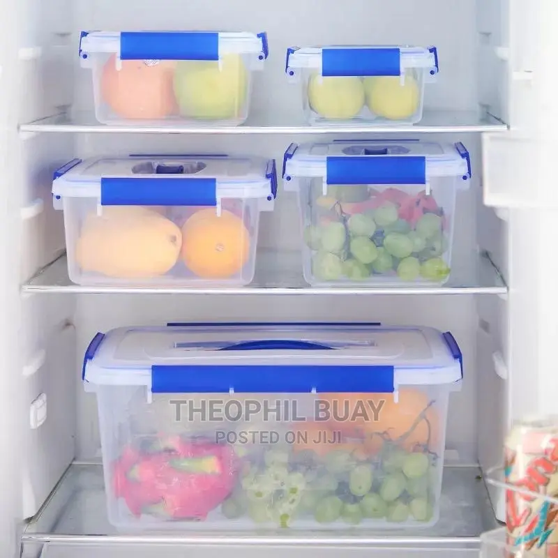 Five in a Set Containers Microwave Safe