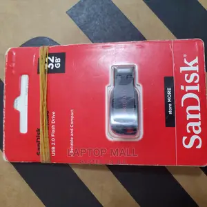 Sandisk Flash Drive