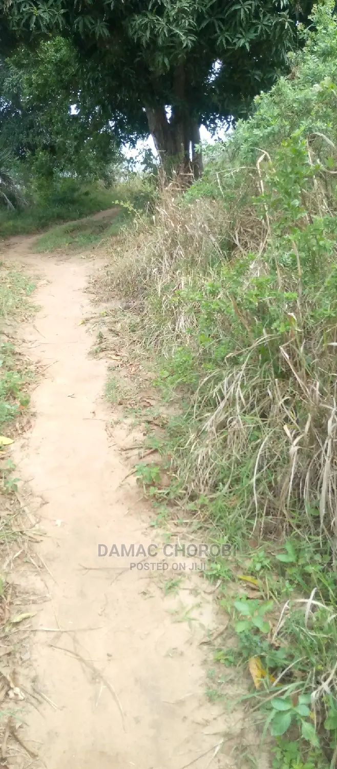 Acre 5 Zinauzwa Kiwangwa Bagamoyo
