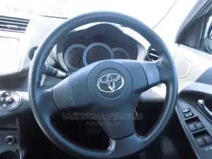 Toyota RAV4 2010 Gray