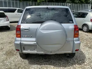 Toyota RAV4 2001 Silver