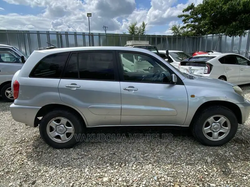 Toyota RAV4 2001 Silver
