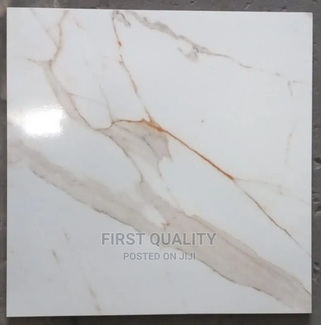 Indian Floor Tiles 60*60