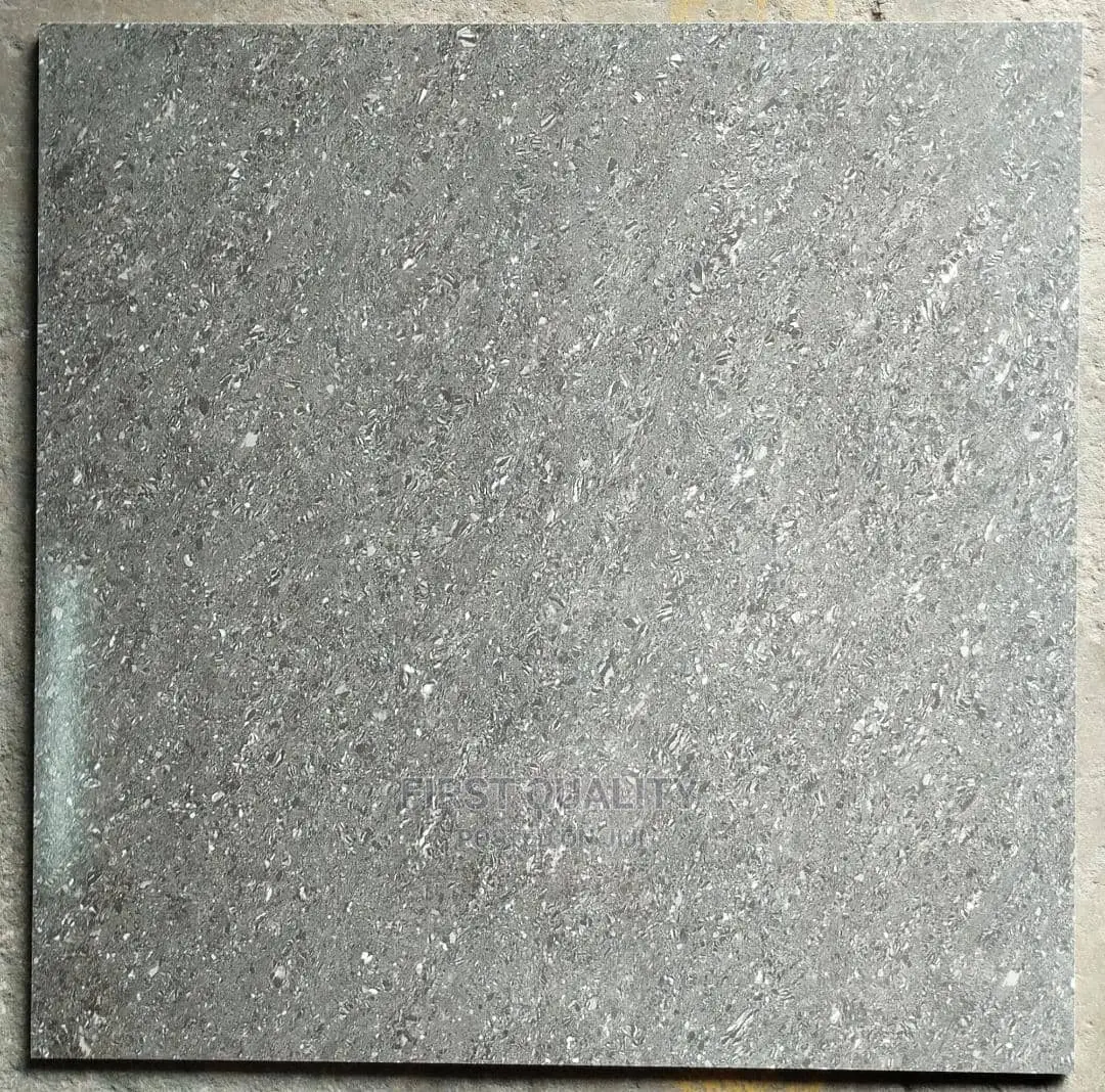 Indian Floor Tiles 60*60