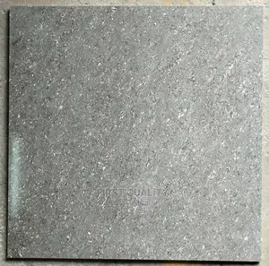 Indian Floor Tiles 60*60