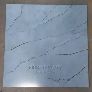 Indian Floor Tiles 60*60