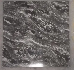 Indian Floor Tiles 60*60