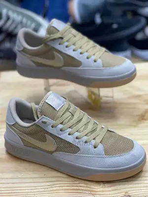 Nike SB Brand